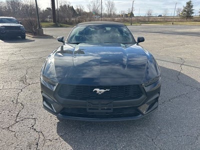 2025 Ford Mustang EcoBoost Convertible