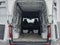 2025 Mercedes-Benz Sprinter 2500 Standard Roof 4-Cyl Diesel HO